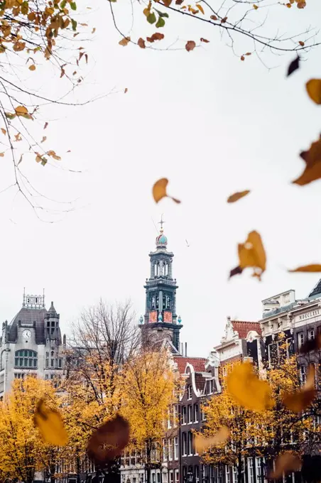 Autumn in Amsterdam, leaves falling around a church tower