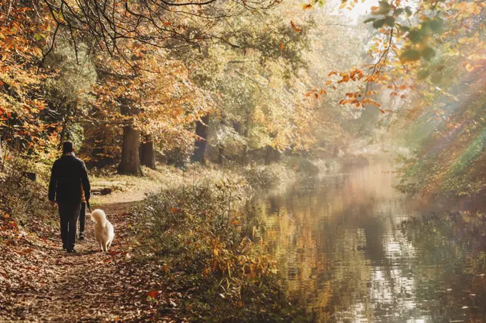Man and dog walking on canal towpath in fall with rainbow flare