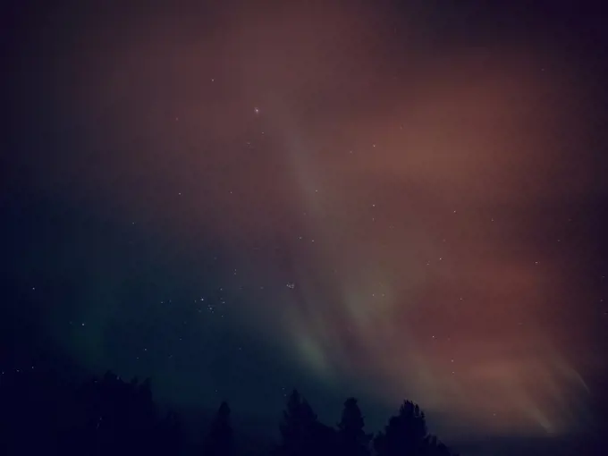Northern lights in night sky
