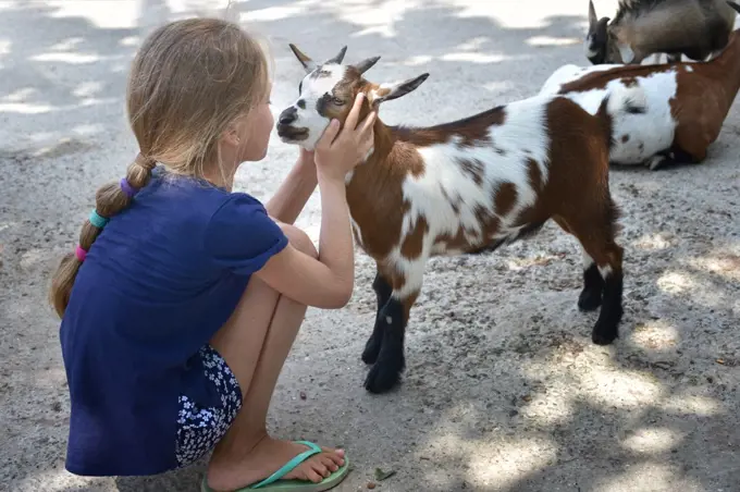 The girl looks at the red-haired goat kid nose to nose.