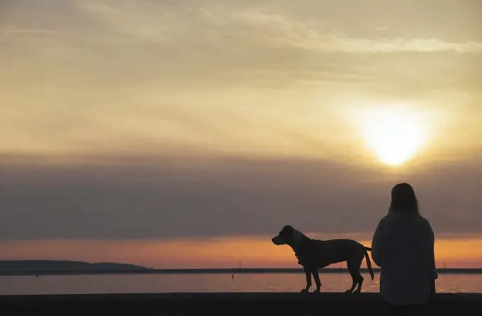 Silhouette of a woman with dog enjoying sunset at the bay area