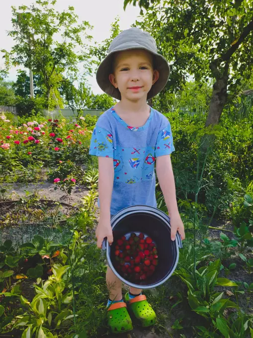 Boy holding a bucket of freshly picked strawberries in the garden