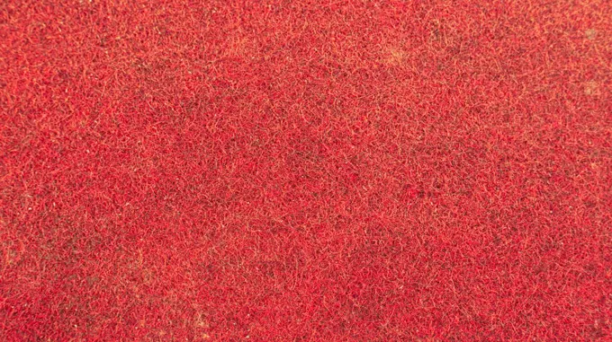 Close-up photo of red soft rug