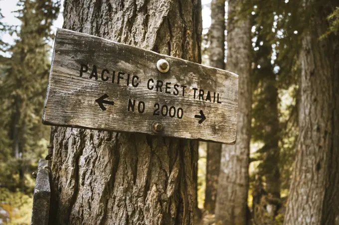 Pacific Crest Trail Sign In Washington State