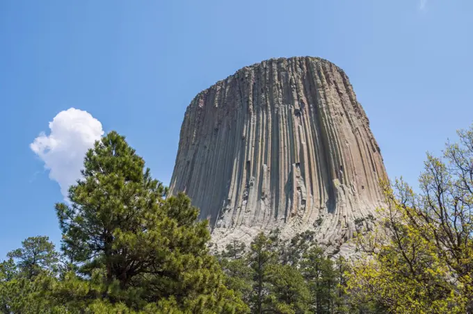 The infamous Devils Tower National Monument in Wyoming