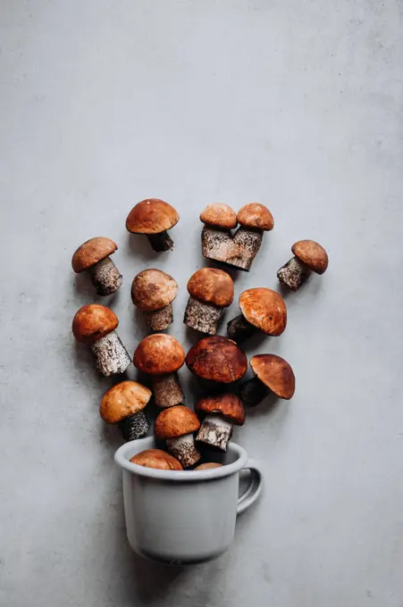 A gray metal mug with spilled out boletus against a ceramic tile.