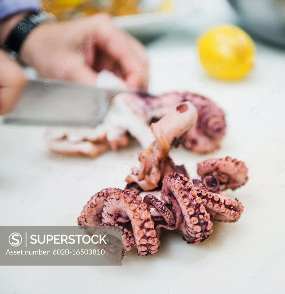 Fresh Octopus being prepared