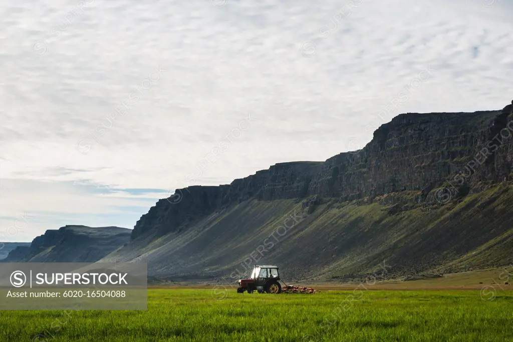 Tractor on farmland in the Westfjords, Iceland, Scandinavia, Europe