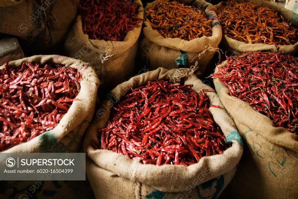 Dried chili peppers for sale in the spice market, Delhi, India