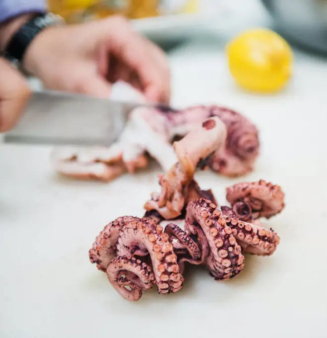 Fresh Octopus being prepared