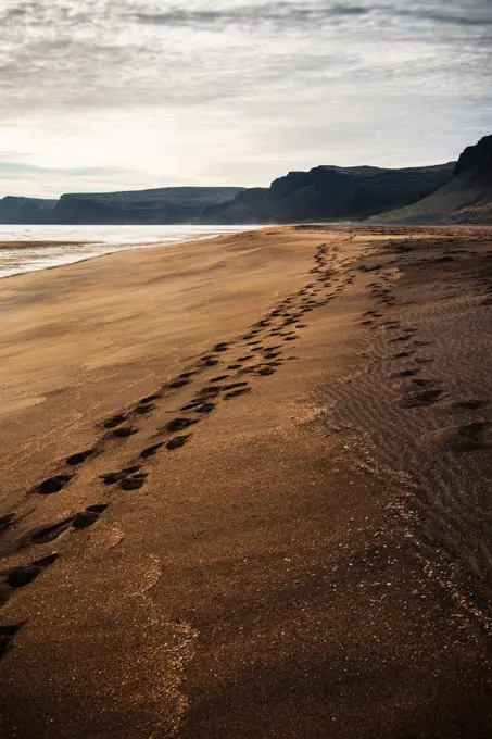 Footsteps through the sand Raudisandur, Rauðasandur beach in the Western Fjords Iceland, Scandinavia, Iceland, Europe
