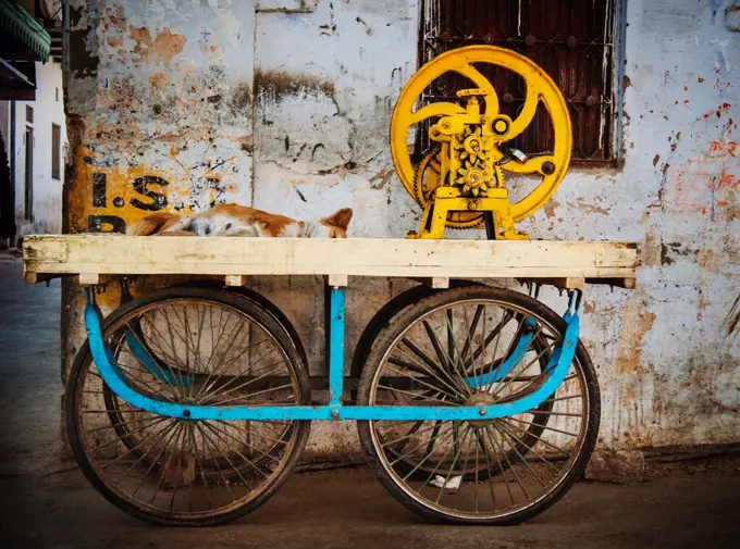 Old fashioned cart in Pushkar, India