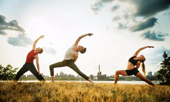 Group of people doing yoga in the park