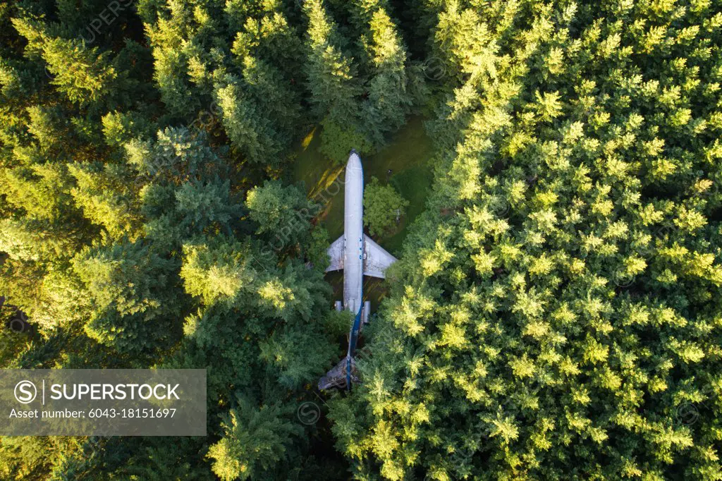 Aerial view of plane in the woods