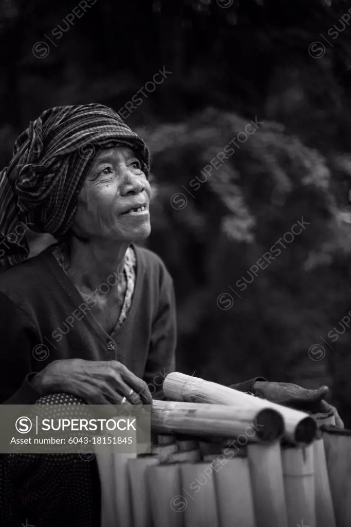 sugar cane vendor cambodia