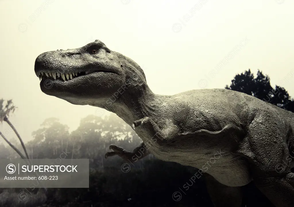 Close-up of a Tyrannosaurus Rex