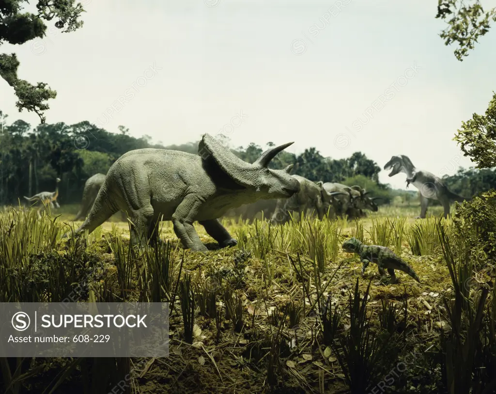 Triceratops with a tyrannosaur and a torosaurus in a forest