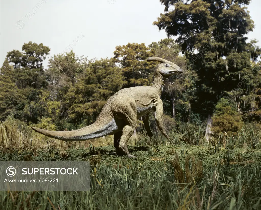 Side profile of a parasaurolophus walking in a forest