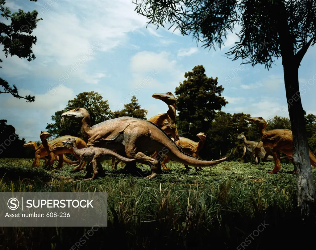 Herd of Anatosaurus