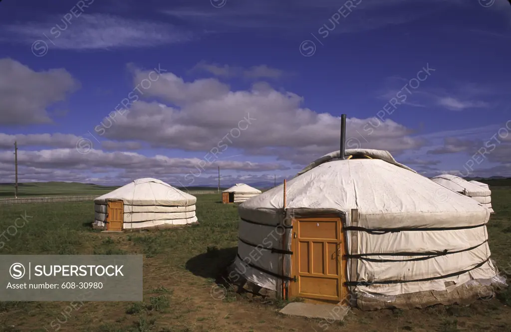 Yurts the traditional Mongolian residential tents in a field, Independent Mongolia