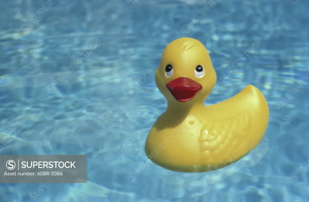 Close-up of a rubber duck floating on water