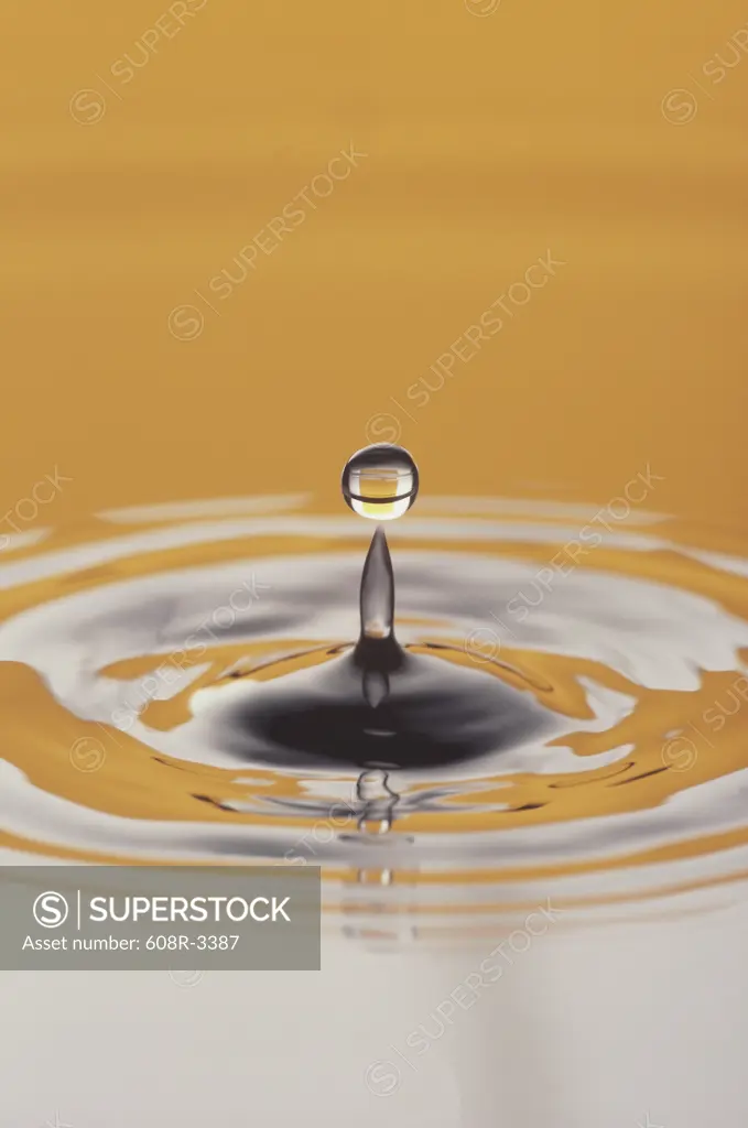 Close-up of a water drop rising on the surface of water