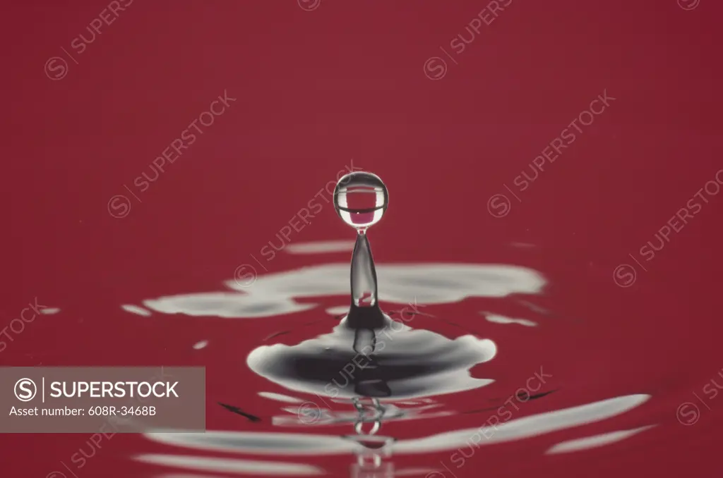 Close-up of a water drop rising on the surface of water