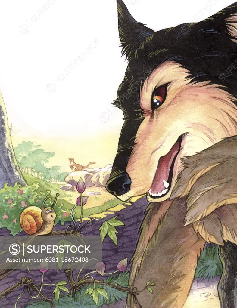 Wolf character looking at snail illustration. Watercolor and colored pencil. 