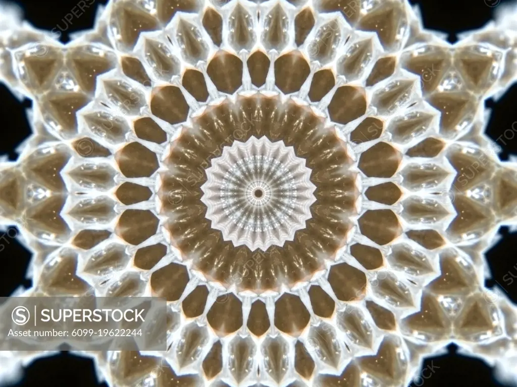 An abstract patter made from applying fractal mirroring to a photo of snake skin.