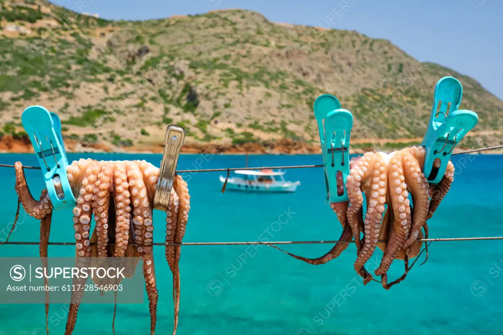 Fresh octopus drying on the rope on sun with turquoise water of Aegean sea with fishing boat on background, Crete island, Greece. Delicious calamari seafood of mediterranean cuisine