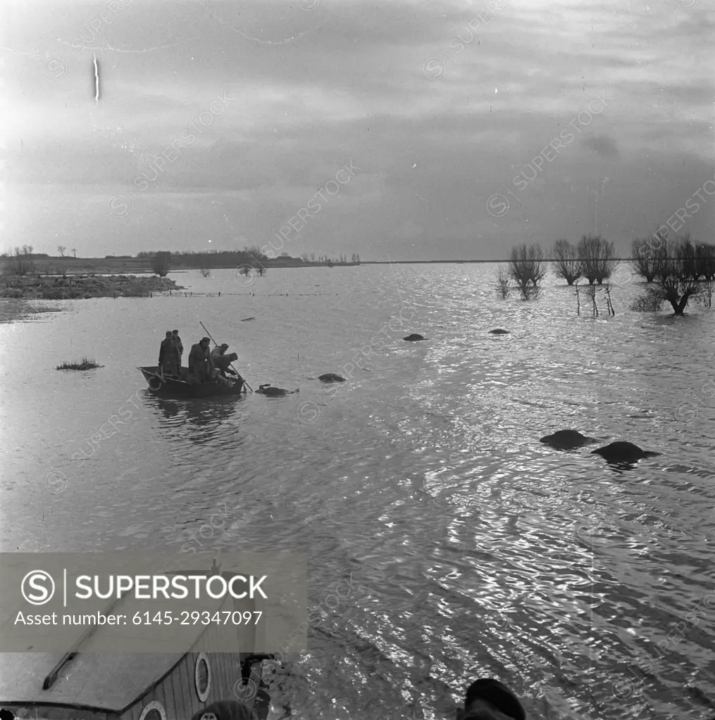 Anefo photo collection. 1953 flood plates. Zierikzee. February 5, 1953. Zeeland, Zierikzee