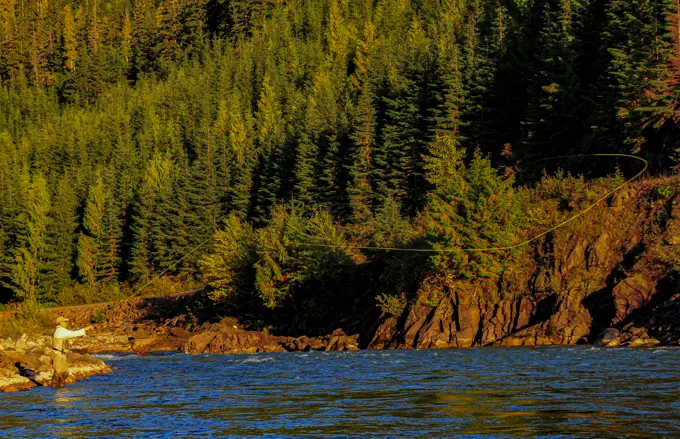 Fly Fishing in the evening light on the Copper River in B.C.