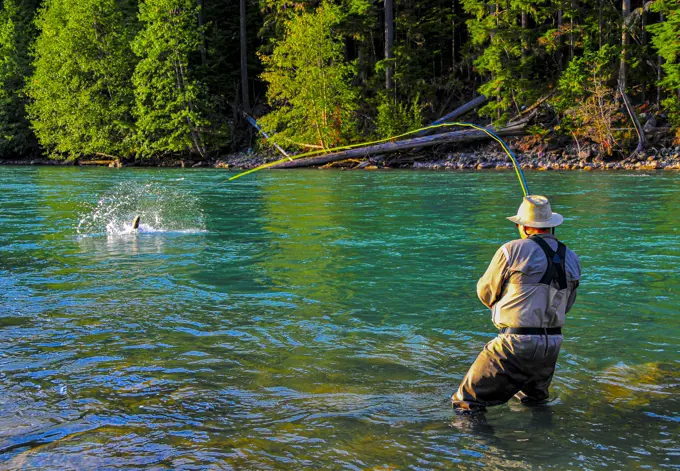 A nice action shot fly fishing for steelhead in B.C.