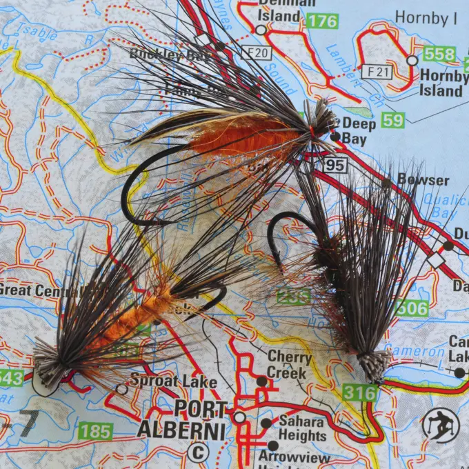 Some popular flies for fishing for Steelhead.