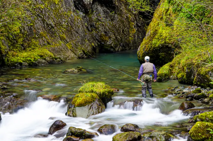Fly Fishing for Steelhead is a real passion for many anglers.