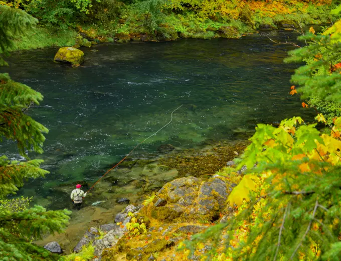 Fly Fishing for Steelhead on the North Fork of the Umpqua River in Oregon.