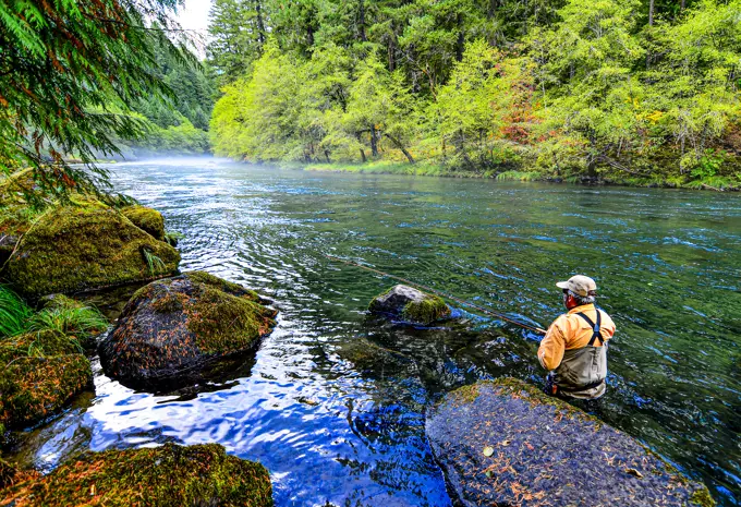 Fly Fishing the North Umpqua River in Oregon for Steelhead.