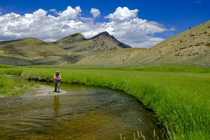 Fly Fishing spring creeks in Montana is a special experience.