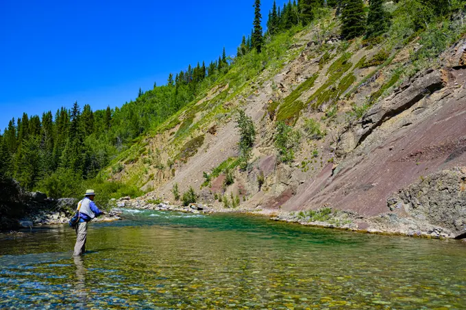 The Highwood River on the east side of the Canadian Rockes is a delight to fish.