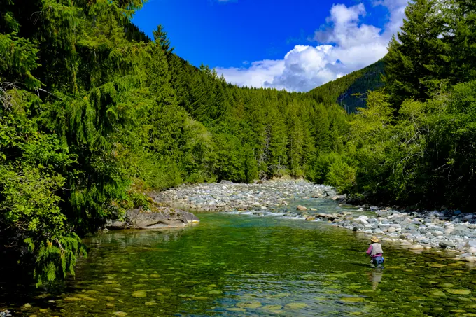 Fly fishing the Heber River on Vancouver Island for Steelhead is a delight.