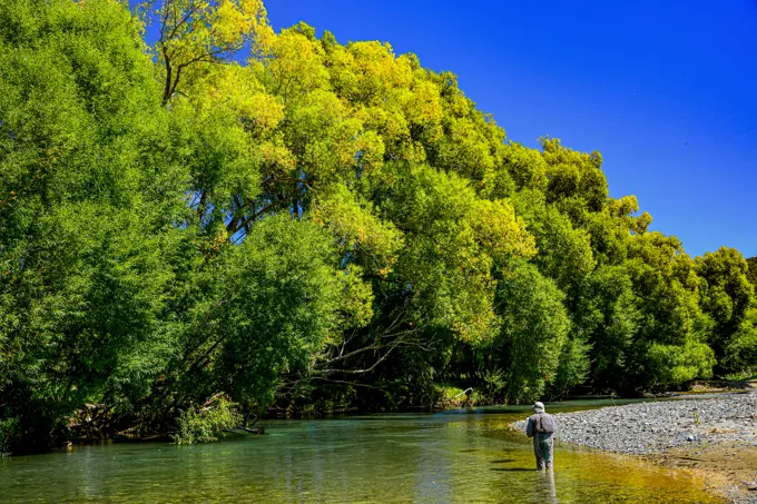 Fly Fishing on the beloved Mataura River in N.Z.