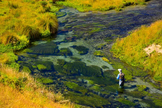 Fly Fishing on the famed Brightwater Spring Creek in N.Z.