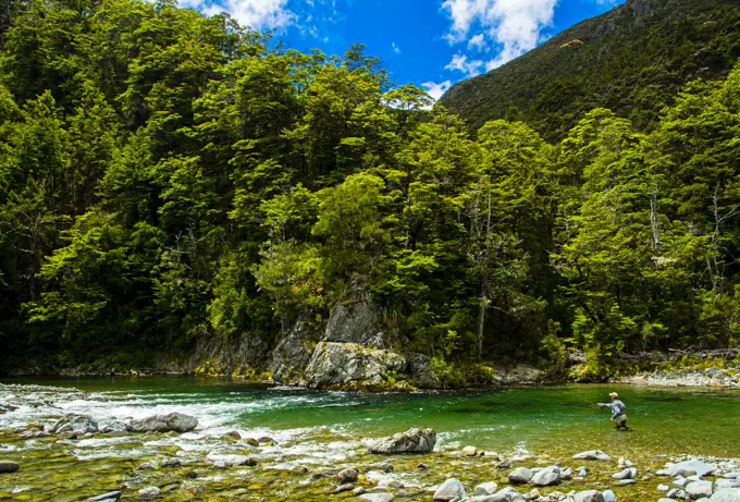 The backcountry trout rivers of New Zealand are a good choice for large fish.