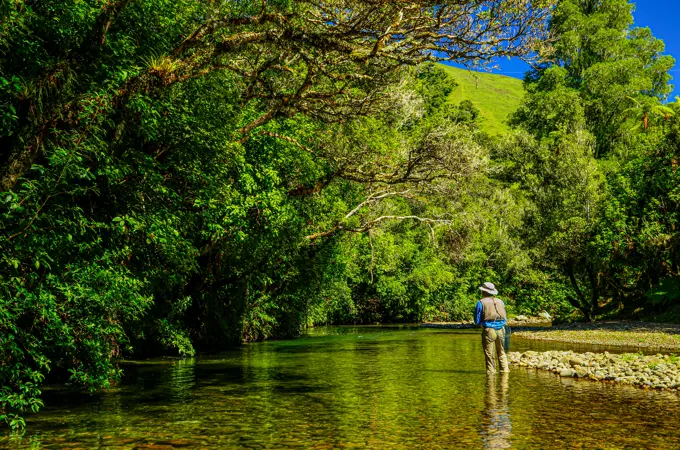 Small streams in New Zealand are extra special for fly fishing.