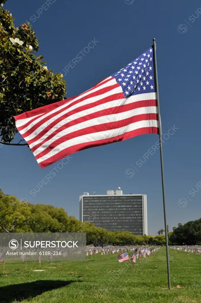 American flags in a cemetery with a government building in the background, Westwood Federal, Los Angeles National Cemetery, Los Angeles, California, USA