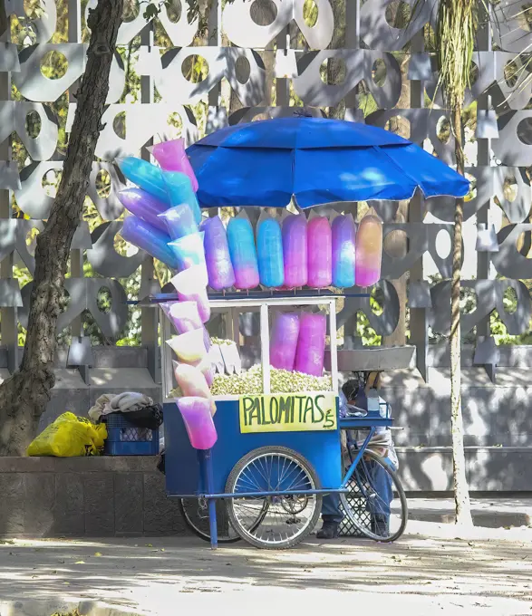 Mexico City, Mexico. Jan 14, 2024. A street vendor in Mexico City, with a bicycle, sells cotton candy. Mexico City, Mexico. Jan 14, 2024. A street vendor in Mexico City, with a bicycle, sells cotton candy. Copyright: xZoonar.com/Marvin_Tolentinox 21204775