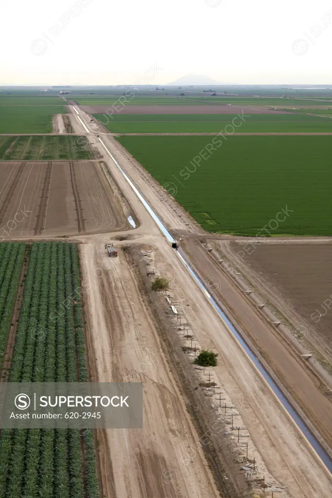 Aerial view of a field, Imperial Valley, Brawley, Imperial County, California, USA