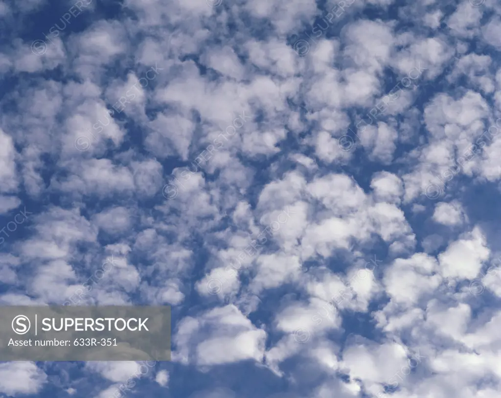 Cirrocumulus clouds in a blue sky