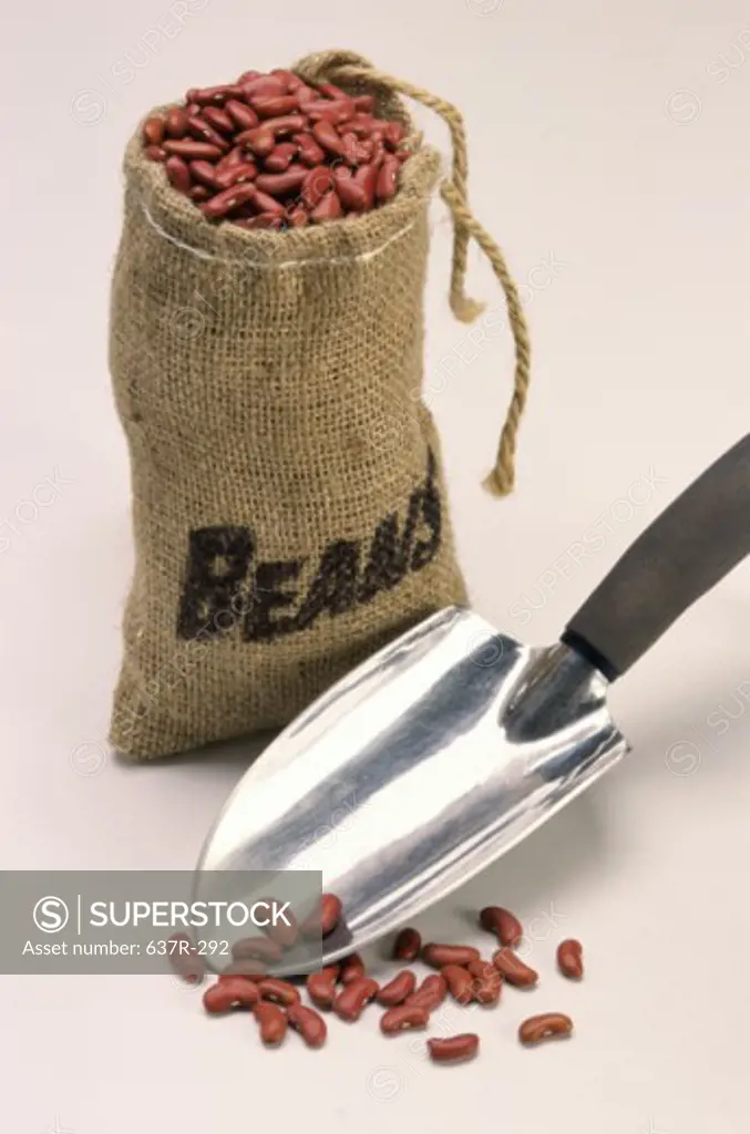 Kidney beans in a sack near a trowel