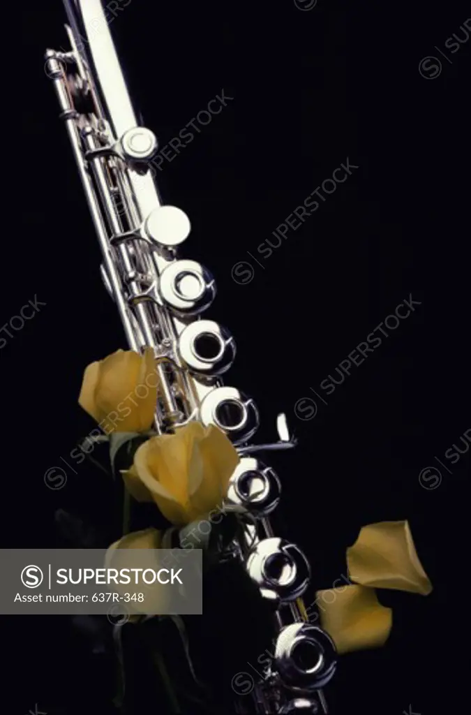 Close-up of a flute with yellow roses